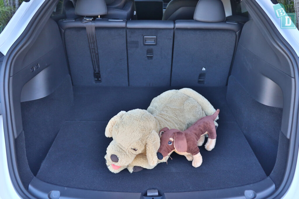 2 toy dogs sitting in the trunk of a 2023 Tesla Model Y car.