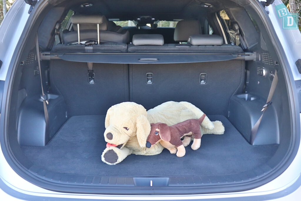 room for a dog in the trunk of a 2023 Hyundai Santa Fe Hybrid