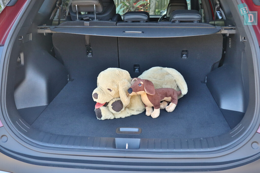 A teddy bear sits in the trunk of a car.