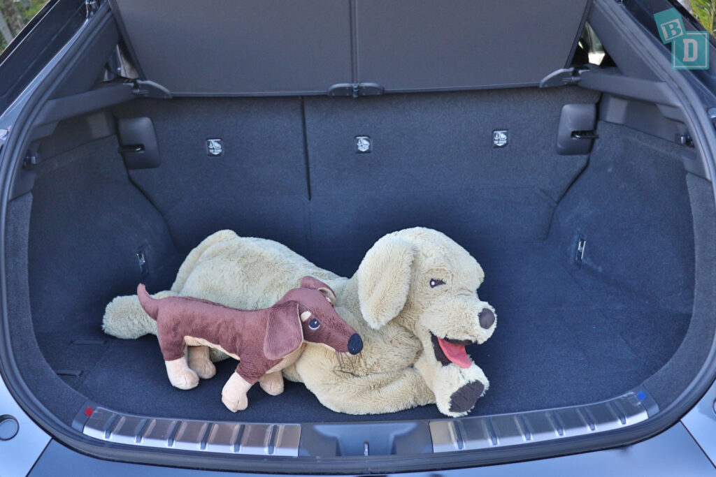 The trunk of a 2023 Lexus RZ 450e with room for dogs